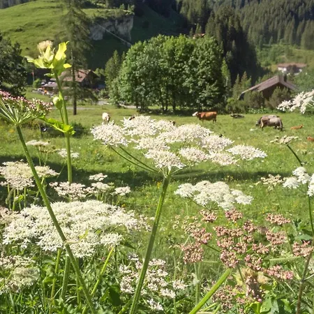 Konukevi Naturfreundehaus Gorneren